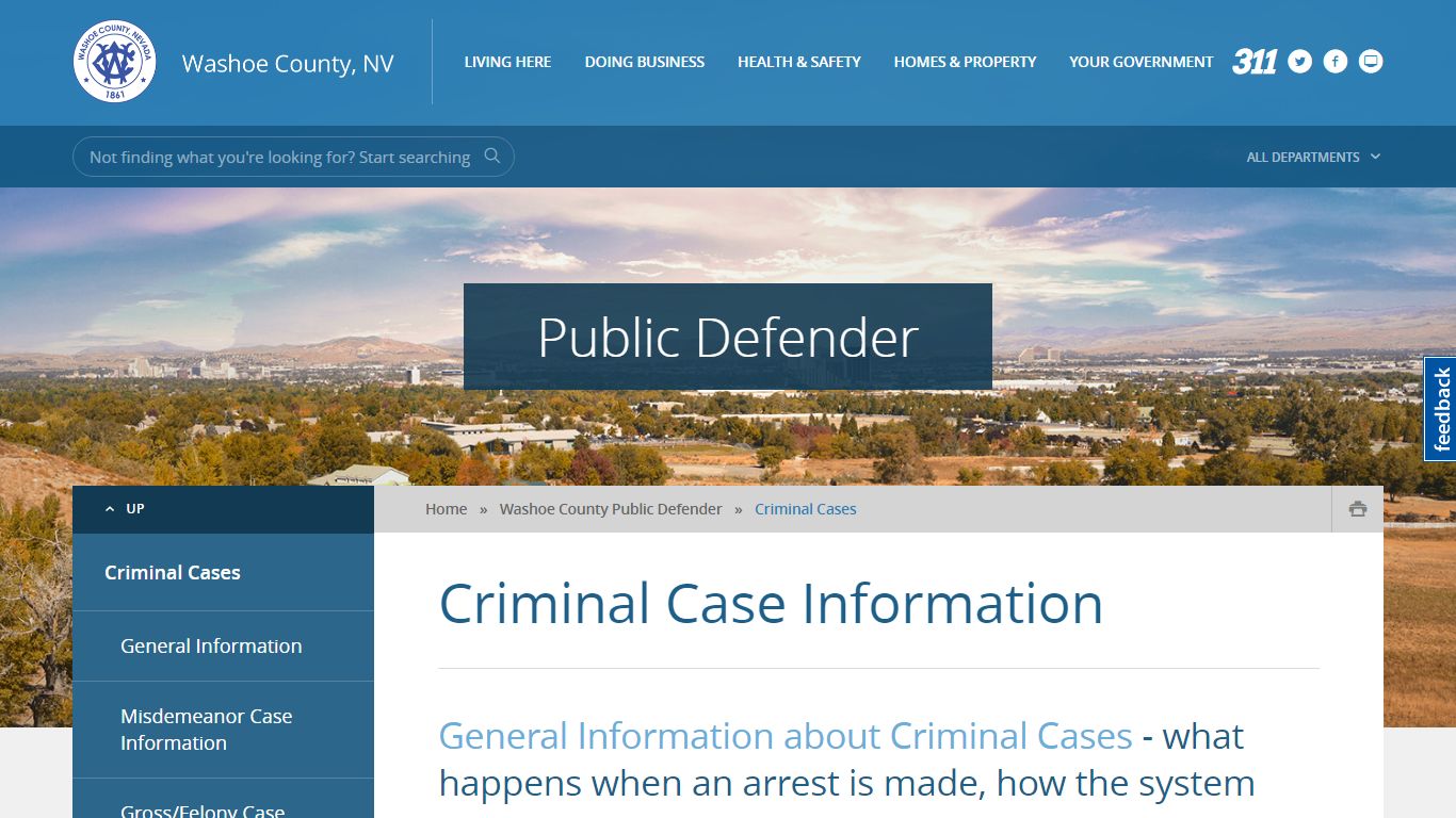 Criminal Case Information - Washoe County